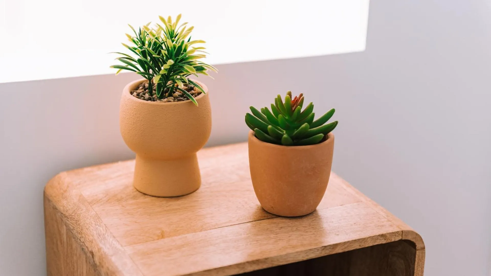Echo Sevilla Loft Boutique 0*, Севилья Испания